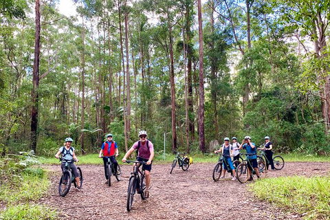 Guided E Bike Tour - Hells Hole Pools & Rainforest - Accommodation Cairns 2