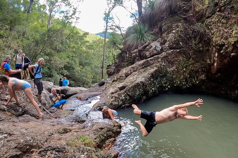 Guided E Bike Tour - Hells Hole Pools & Rainforest - Accommodation Cairns 7