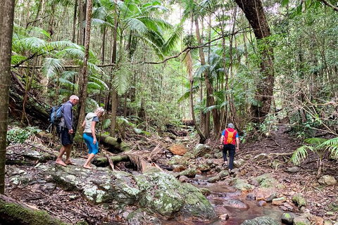 Guided E Bike Tour - Hells Hole Pools & Rainforest - Accommodation Cairns 11