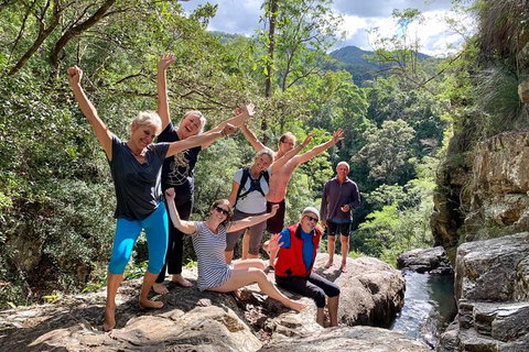 Guided E Bike Tour - Hells Hole Pools & Rainforest - Accommodation Cairns 6