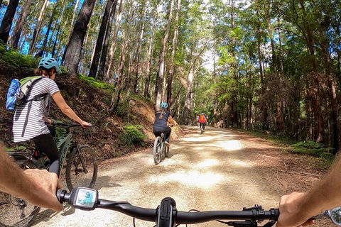Guided E Bike Tour - Hells Hole Pools & Rainforest - Accommodation Cairns 3