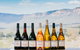 Taste Of The Blue Mountains - Lunch & Wine Tasting, Beer, Cider & Gin Tasting - thumb 1