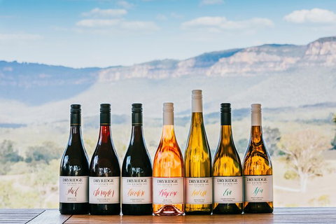 Taste Of The Blue Mountains - Lunch & Wine Tasting, Beer, Cider & Gin Tasting - Accommodation Cairns 1