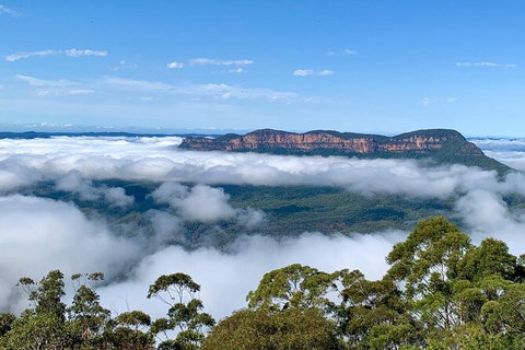 Taste Of The Blue Mountains - Lunch & Wine Tasting, Beer, Cider & Gin Tasting - Accommodation Cairns 3