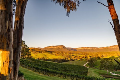 Taste Of The Blue Mountains - Lunch & Wine Tasting, Beer, Cider & Gin Tasting - Accommodation Cairns 11