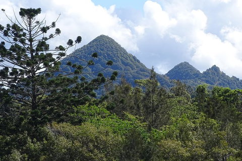 Byron Bay Rainforest Eco-Cruise - Accommodation Cairns 3