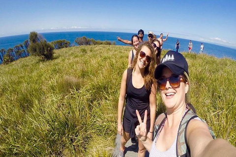 Royal National Park Adventure & Hike, Figure 8 Pools - Accommodation Cairns 2