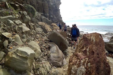 Royal National Park Adventure & Hike, Figure 8 Pools - Accommodation Cairns 0