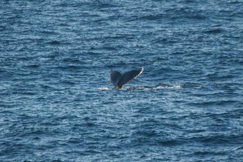 From The Mountains To The Bay - 4 Day Rediscovery Small Group Tour - Accommodation Cairns 8