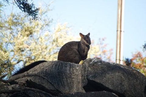 From The Mountains To The Bay - 4 Day Rediscovery Small Group Tour - Accommodation Cairns 0