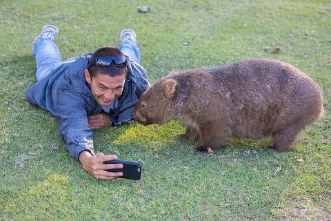 From The Mountains To The Bay - 4 Day Rediscovery Small Group Tour - Accommodation Cairns 1