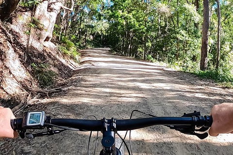 Guided E Bike Tour - Lush Hinterland & Secret Beaches - Accommodation Cairns 12