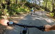 Guided E Bike Tour - Lush Hinterland & Secret Beaches - thumb 9