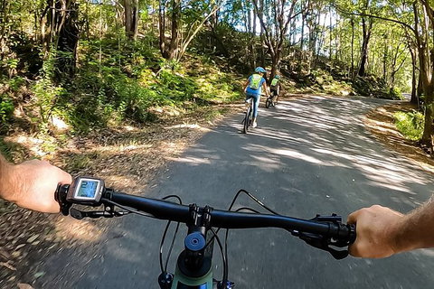 Guided E Bike Tour - Lush Hinterland & Secret Beaches - Accommodation Cairns 9