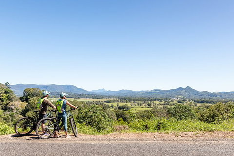 Guided E Bike Tour - Lush Hinterland & Secret Beaches - Accommodation Cairns 7