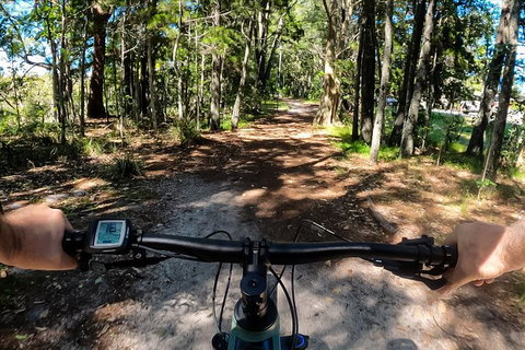 Guided E Bike Tour - Lush Hinterland & Secret Beaches - Accommodation Cairns 11