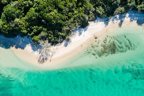Guided E Bike Tour - Lush Hinterland & Secret Beaches - Accommodation Cairns 6