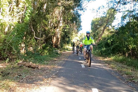 Guided E Bike Tour - Lush Hinterland & Secret Beaches - Accommodation Cairns 10