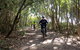 Guided E Bike Tour - Lush Hinterland & Secret Beaches - thumb 8