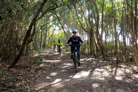 Guided E Bike Tour - Lush Hinterland & Secret Beaches - Accommodation Cairns 8