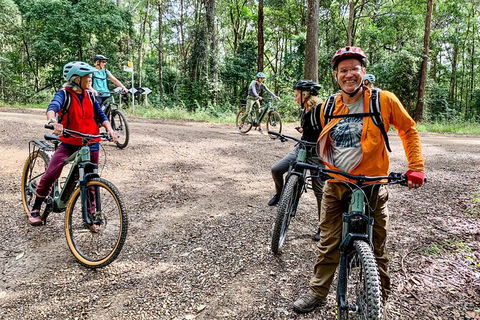 Guided E Bike Tour - Unicorn Falls & National Park - Accommodation Cairns 18