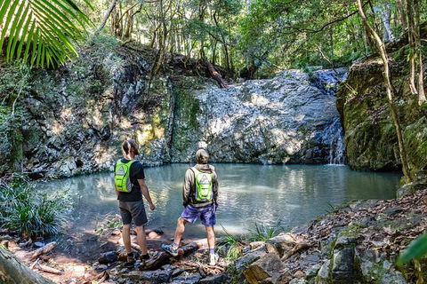 Guided E Bike Tour - Unicorn Falls & National Park - Accommodation Cairns 2