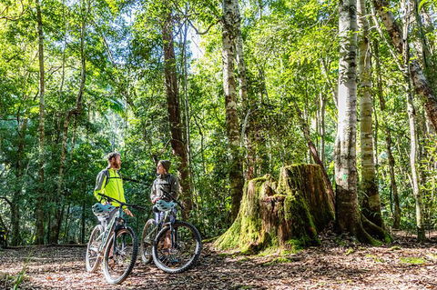 Guided E Bike Tour - Unicorn Falls & National Park - Accommodation Cairns 14