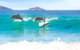 Tea Gardens And Hawks Nest Beach Bus Guided Tour - thumb 7