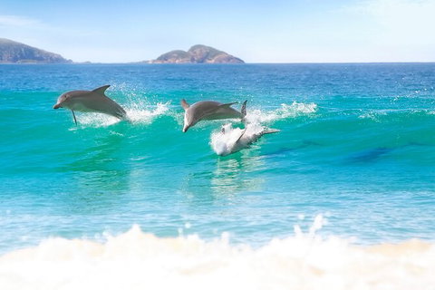 Tea Gardens And Hawks Nest Beach Bus Guided Tour - Accommodation Cairns 7