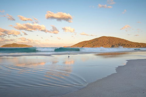 Tea Gardens And Hawks Nest Beach Bus Guided Tour - Accommodation Cairns 11