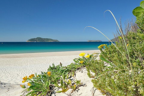 Tea Gardens And Hawks Nest Beach Bus Guided Tour - Accommodation Cairns 0