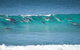 Tea Gardens And Hawks Nest Beach Bus Guided Tour - thumb 13
