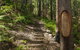 Tea Gardens And Hawks Nest Beach Bus Guided Tour - thumb 9