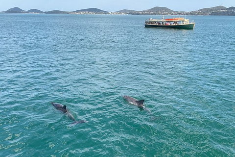 Tea Gardens And Hawks Nest Beach Bus Guided Tour - Accommodation Cairns 12