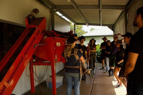 Pecan Farm Tour And Workshop, Byron Bay Hinterland - Accommodation Cairns 4