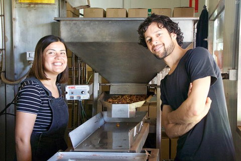 Pecan Farm Tour And Workshop, Byron Bay Hinterland - Accommodation Cairns 7