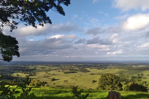 Pecan Farm Tour And Workshop, Byron Bay Hinterland - Accommodation Cairns 1