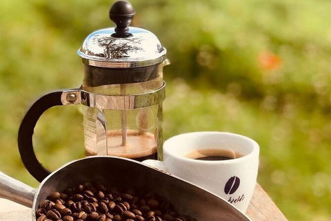 Coffee Farm Tour And Workshop, Byron Bay Hinterland - Accommodation Cairns 0