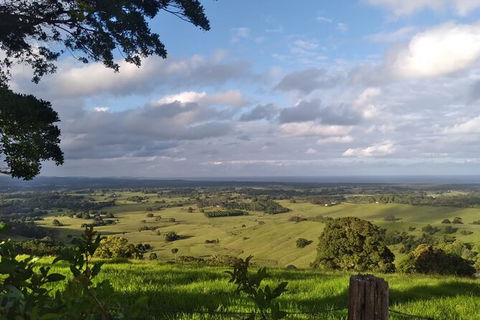Coffee Farm Tour And Workshop, Byron Bay Hinterland - Accommodation Cairns 4