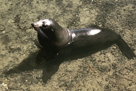South Coast Photography Field Day - Accommodation Cairns 5