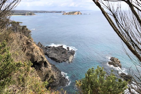 South Coast Photography Field Day - Accommodation Cairns 8