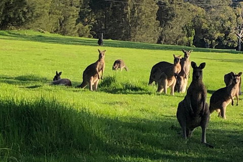 South Coast Photography Field Day - Accommodation Cairns 6
