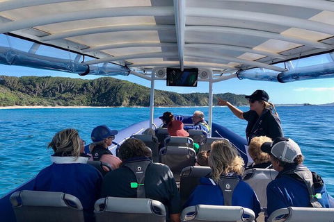 Julian Rocks Byron Bay Cruise - Accommodation Cairns 11