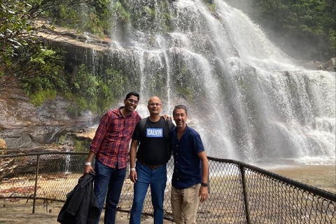 Blue Mountains Highlights & Wildlife Park - Accommodation Cairns 4