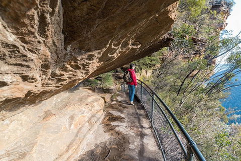 Blue Mountains Highlights & Wildlife Park - Accommodation Cairns 0