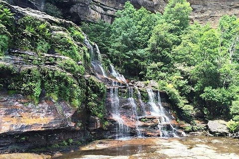 Blue Mountains Highlights & Wildlife Park - Accommodation Cairns 8