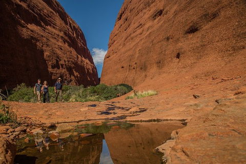 4 Day/3 Night Perentie Dreaming Safari - Accommodation Cairns 3