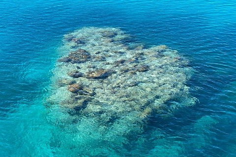 Lady Musgrave Day Trip From Bundaberg Including Snorkeling, Glass Bottom Tour And Guided Island Walk - Accommodation Cairns 2