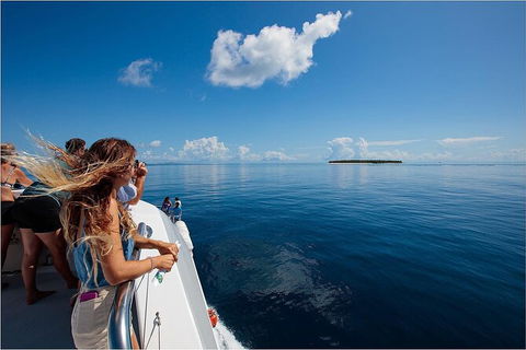 Lady Musgrave Day Trip From Bundaberg Including Snorkeling, Glass Bottom Tour And Guided Island Walk - Accommodation Cairns 4