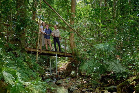 Daintree And Cape Tribulation Tour From Cairns - Accommodation Cairns 3